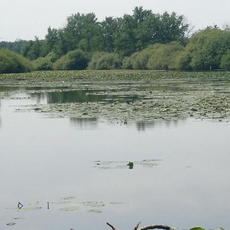 Maison De Ferme Au Calme Jusqu'A 10 Personnes Gannay-sur-Loire Buitenkant foto