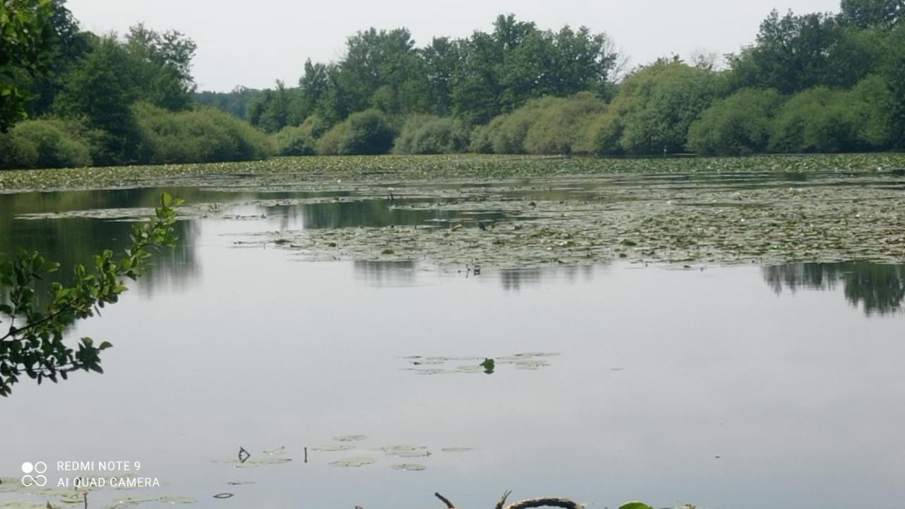 Maison De Ferme Au Calme Jusqu'A 10 Personnes Gannay-sur-Loire Buitenkant foto
