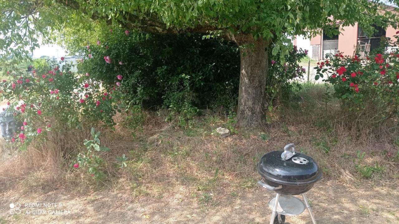 Maison De Ferme Au Calme Jusqu'A 10 Personnes Gannay-sur-Loire Buitenkant foto